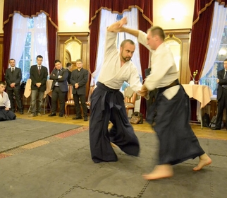 Pokaz wschodnich sztuk walk w sali kominkowej pałacu Bidermanna dla uczestników konferencji LEAM 2015/A show of eastern martial arts in the fireplace hall of Bidermann Palace for the participants of the LEAM 2015 conference